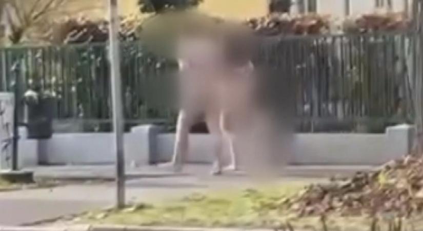 Anyaszült meztelenül sétált egy család Debrecenben