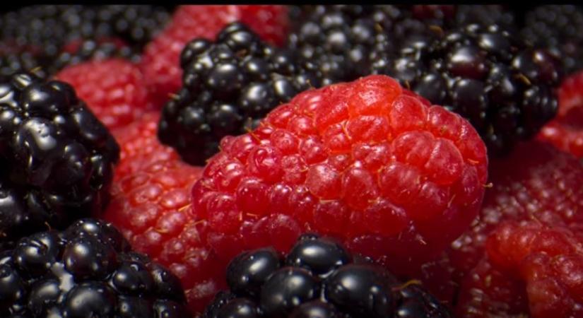 Nagyonközelképek – A nap videója