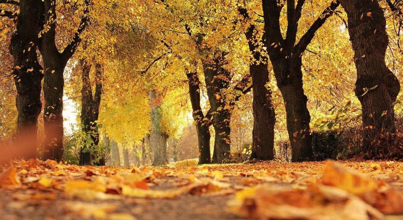 Orbán Zoltán: súlyos károk fenyegetnek a zöld munkálatoknál