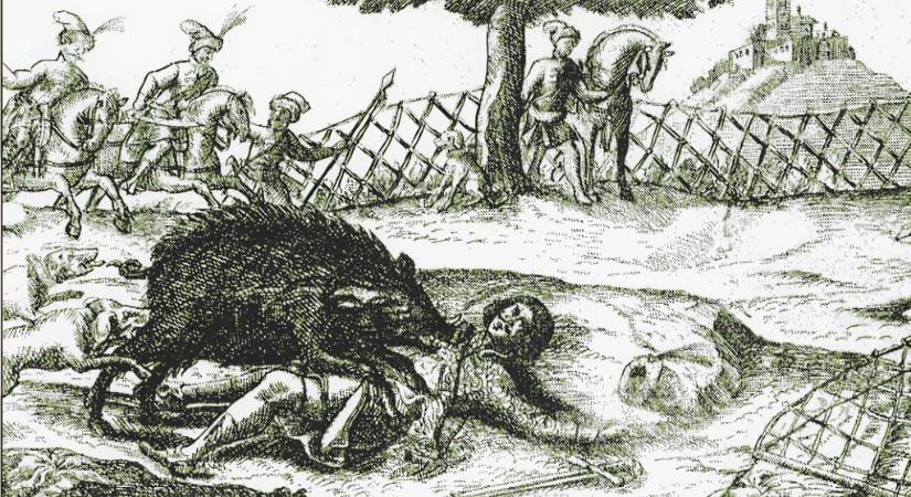 Vaddisznó szúrta át Zrínyi Miklós nyakát