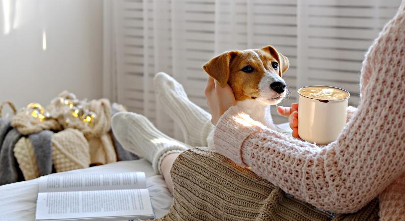 Napi horoszkóp 2025. november 18.: apró sikerek keddre