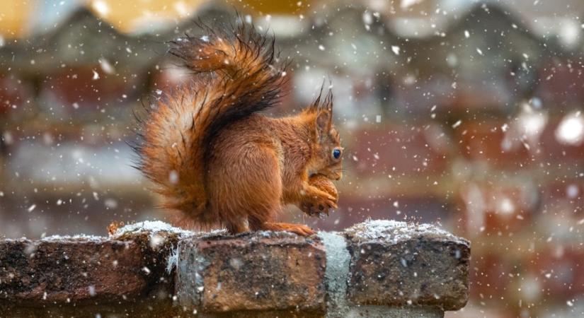 Hózápor is jöhet a hidegfront után, mutatjuk, hol van rá a legnagyobb esély