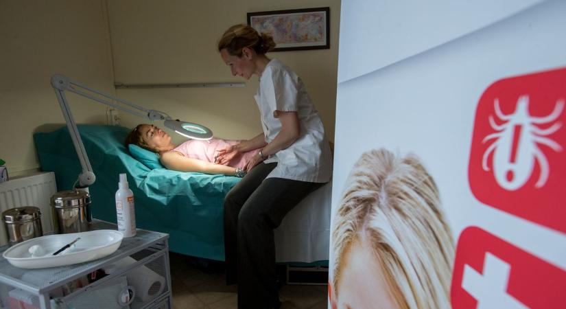 Agyhártyagyulladás és Lyme-kór: újabb, télen is aktív kullancsot találtak