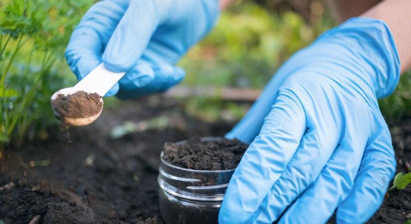 Női hormonok és gyulladáscsökkentők a talajban: új kutatás mutatja a szennyezés útját