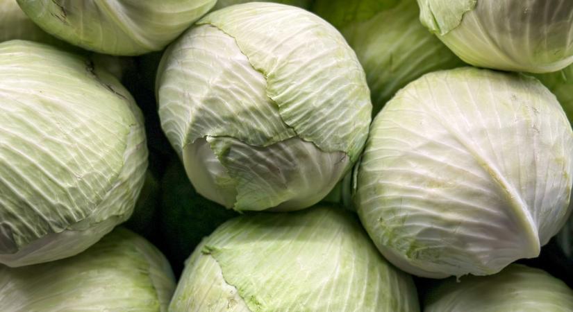 Ez kemény: nem akárhogy próbálnak faragni a költségeken a gazdák