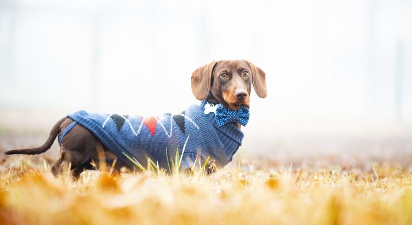 Dermesztő hajnal, hózáporok – érkezik a téli fordulat