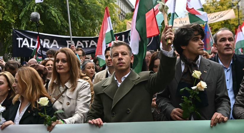 Tényleg megismerhettük, kik azok, akiket a Tisza belső versenybe küld a parlamenti képviselő-jelöltségért