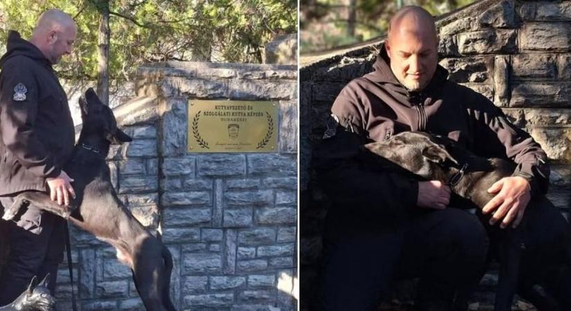 Szenzációs erősítés: bemutatkozik Lukász kutyazászlós