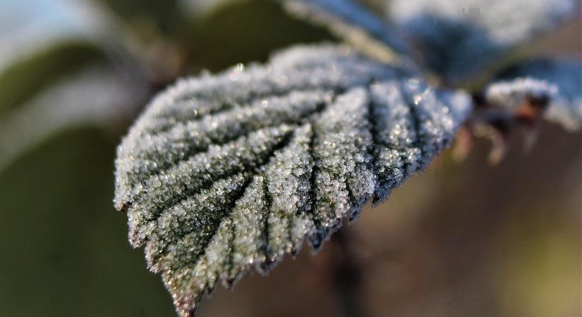 Ma akár -3C is lehet