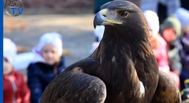 DSTV: látványos madárbemutató az Aprók Házában (galériával)