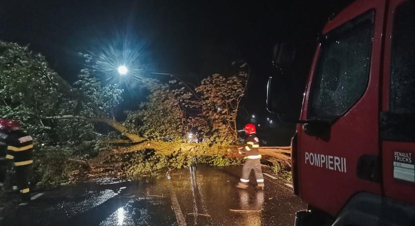 Viharkárok Hargita megyében – Áramkimaradás, úttestre dőlt fa és villanyoszlop