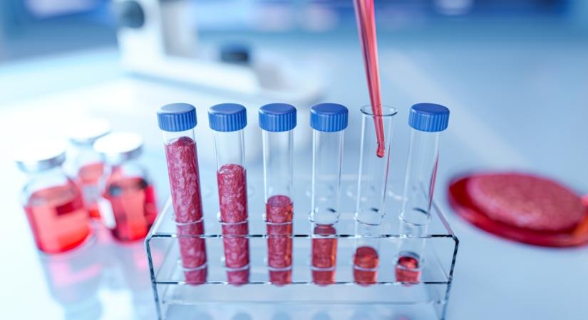 Ma végre pont kerülhet a műhús kérdésére