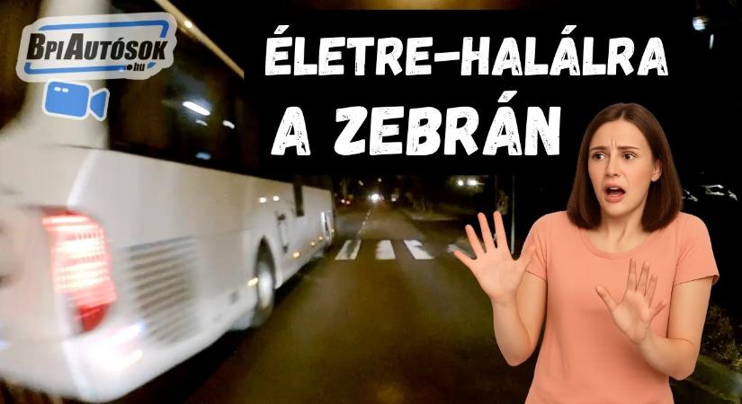 Küzdelem a zebrán életre-halálra