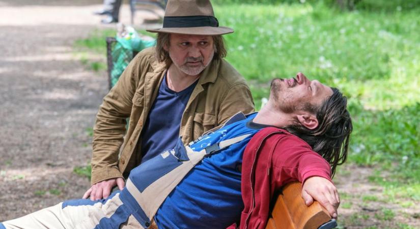 És mi van Tomival?: Mit várunk a piától? (kritika)