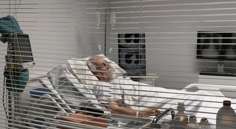 H5N5 madárinfluenza-fertőzést diagnosztizáltak egy embernél