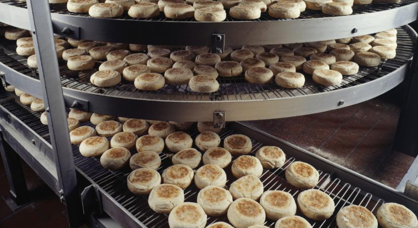 Komoly segítséget kap, aki ilyen beruházást tervez Magyarországon