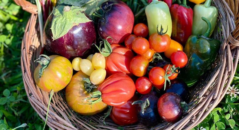 Zalai falvak kincsei egy kosárban – bemutatkozik a Zalaszentgróti Kosárközösség