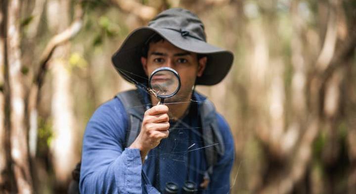 Újabb rettegett vérszívóval kell számolnunk: új fajt fedeztek fel a magyar kutatók