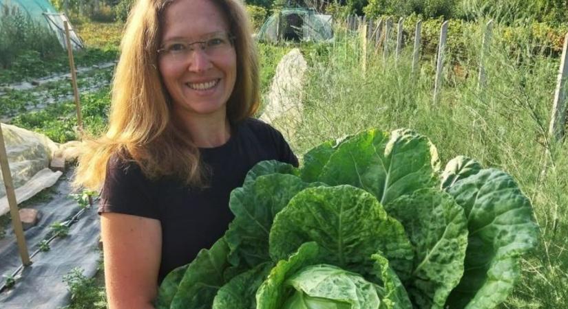 Önellátás kiskertből? Ha belevágsz, erről mindenképpen tudnod kell!