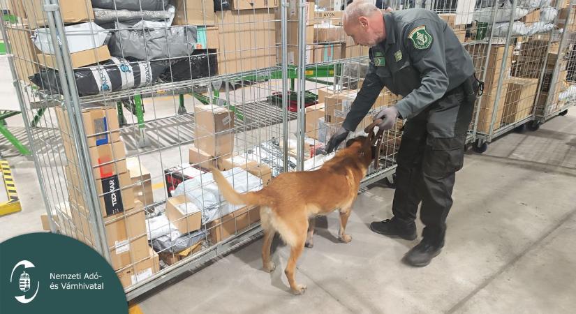 Vigyázz! Lehet bárki a feladó vagy címzett – ezeket a csomagokat a NAV bontja ki