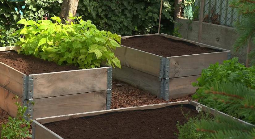 Kertbarát – Tavaszi előny a télből!