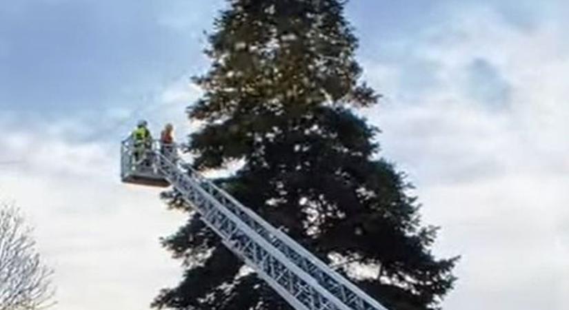 A Tiszaligetnél dolgoztak a tűzoltók, rácsodálkozott a város, hogy mit tettek