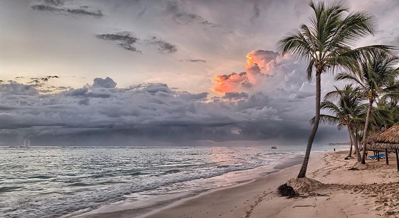 Most Te is vehetsz egy darabot Trump legújabb luxushoteléből