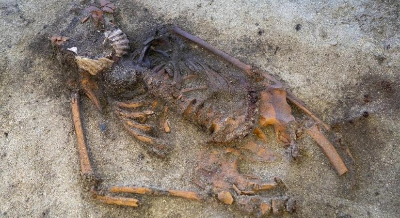 Olyasmit találtak egy viking sírban, ami a régészeket is megdöbbentette
