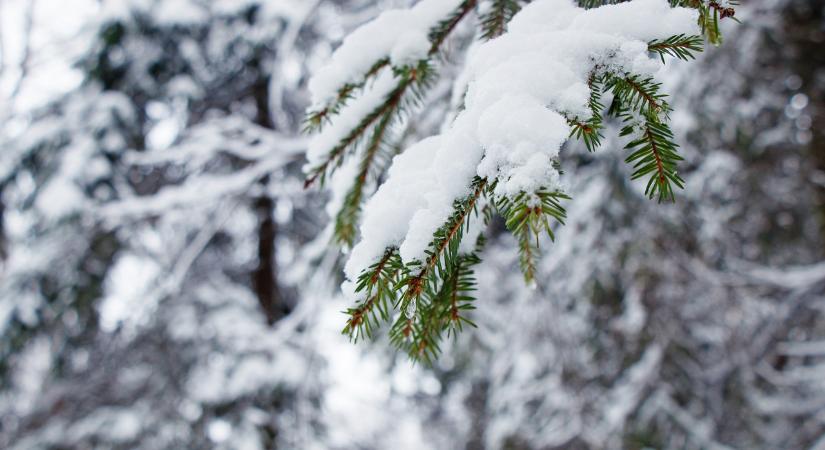 Havazott a Kékesen és Bánkúton – megérkezett az idei első hó!