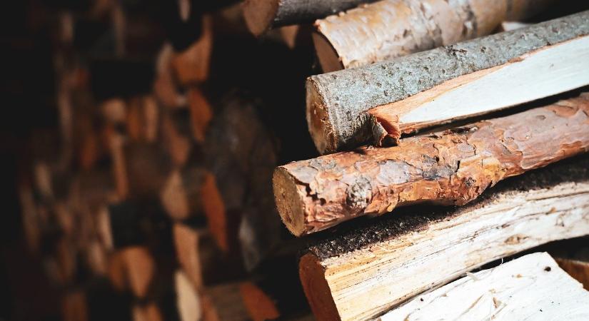 A hazai erdőgazdálkodás képes fenntartható módon ellátni a lakosságot tűzifával