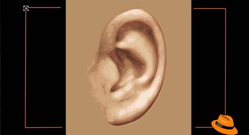 A Mandiner a besúgóhajlamú honfitársak segítségére sietett: külön email-címen várják a „fincsaságokat’