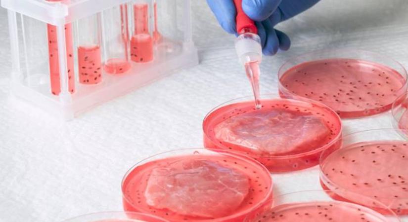 Műhús? Köszönjük, nem kérünk belőle