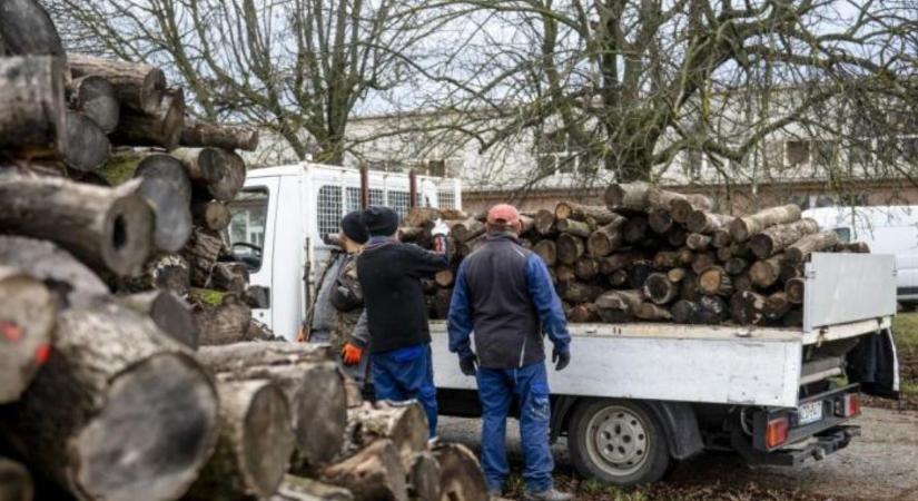 A tűzifa a jövőben is része marad a hazai energiagazdálkodásnak