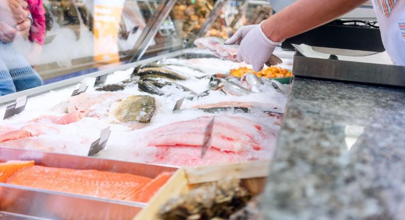 Népszerű halászati termékeket hívtak vissza, veszélyes baktérium került a termékekbe
