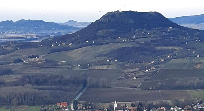 Új tanösvény nyílt a Balaton-felvidéken: különleges útvonal vezet fel a Tóti-hegyre