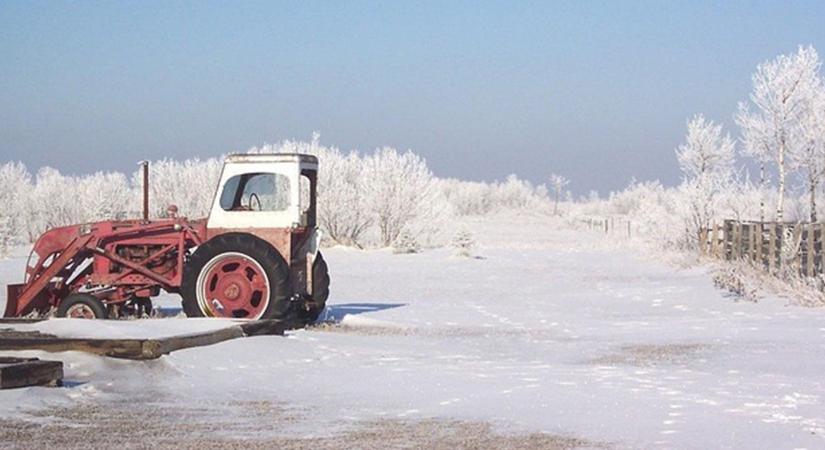 „Semmi sem nő” – mégis mit csinálnak a profik télen?