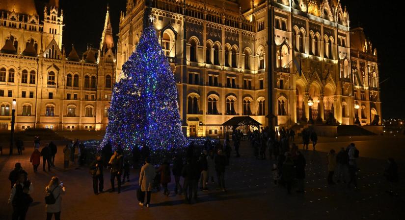 Ez a gyönyörű ezüstfenyő lesz idén Magyarország karácsonyfája: a Nyírségből érkezik a Kossuth térre a 23 méteres óriás