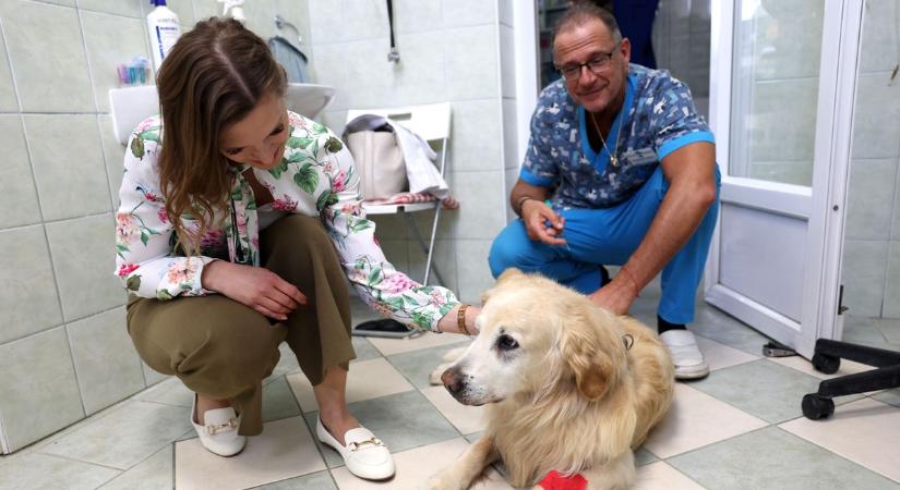 Sokallod az állatorvosi költségeket? Így spórolhatnak rengeteg pénzt az állattartók, kevesen tudják