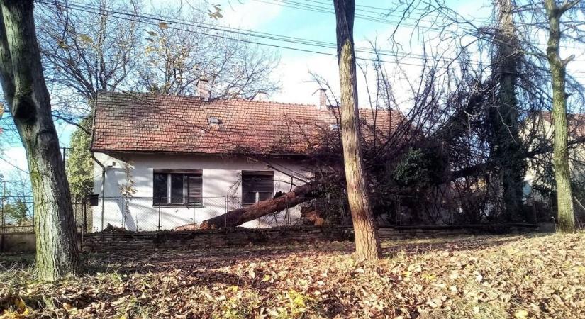 Lakóházak tetejét bontotta meg a szél, autó borult az útra, súlyos baleset is történt a hétfői viharban