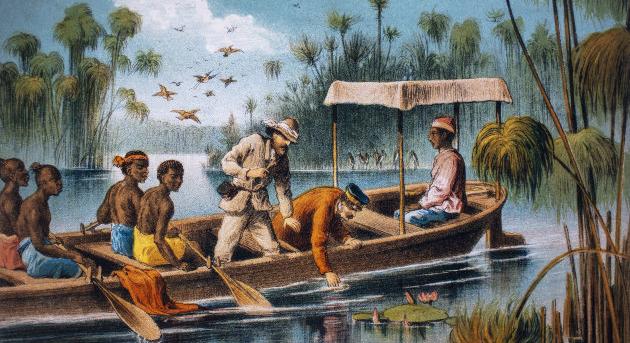 Az afrikai szafarik titokzatos világa