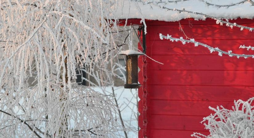7 olcsó ötlet, ami látványosabbá teszi a téli udvart