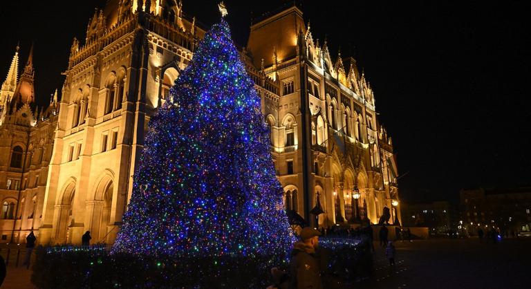 Kiválasztották az idei ország karácsonyfáját, az ezüstfenyő mintegy 23 méter magas
