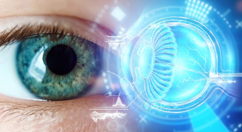 Közelebb kerültek az emberi látás megértéséhez magyar kutatók