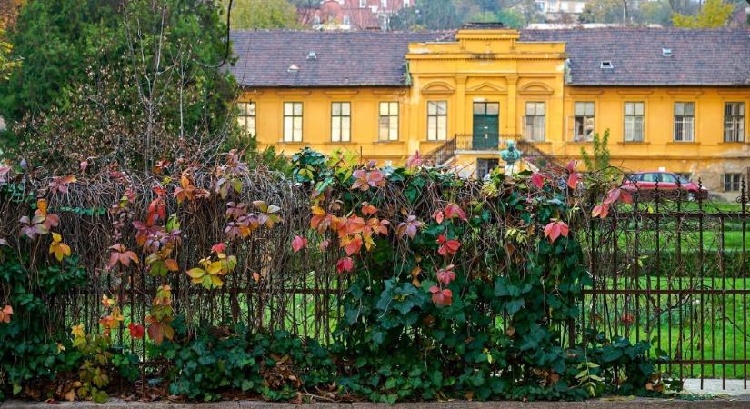 Védett történeti kert lett a Budai Arborétumból