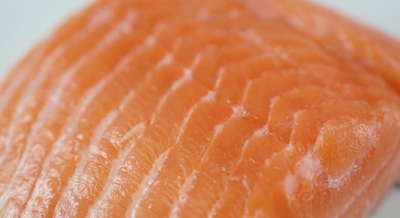 Vigyázat, veszélyes baktériumot találtak ezekben a termékekben!