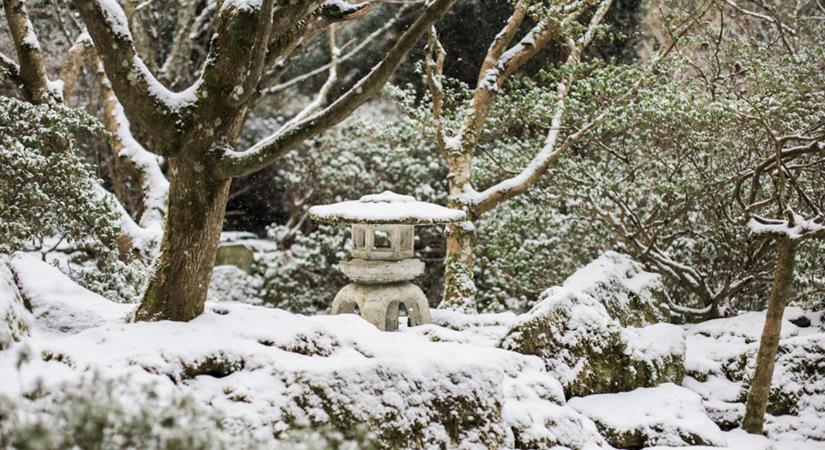 A nyugalom művészete a kertben – japán hatások télre