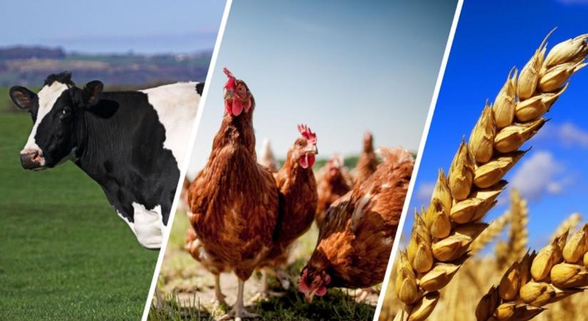 Mezőgazdasággal foglalkozol? A KSH most mindent tudni akar