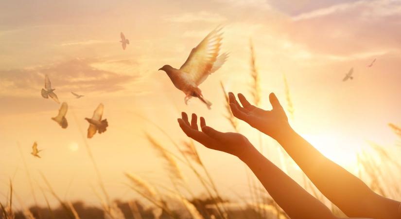 Mi az a földi angyal, és van-e neked is az életedben?