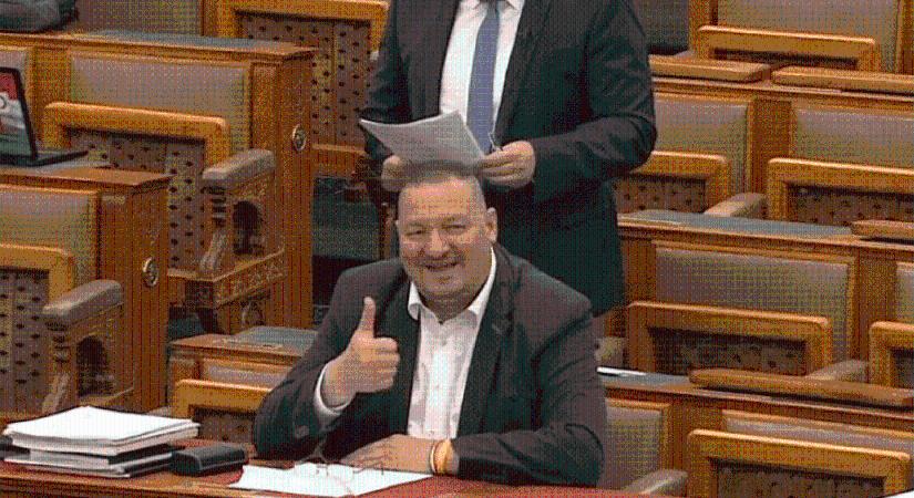 Betiltotta a parlament a műhúst