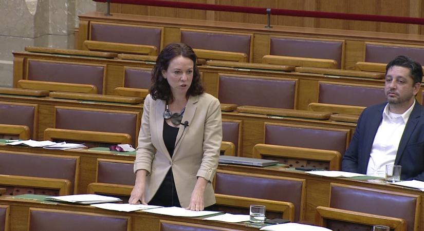 Fájdalmas döntést hozott az Országgyűlés Szabó Tímeára nézve